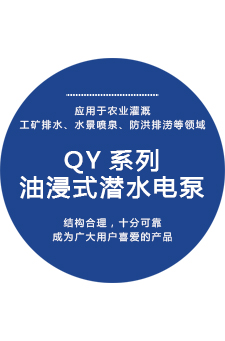 潜水电泵